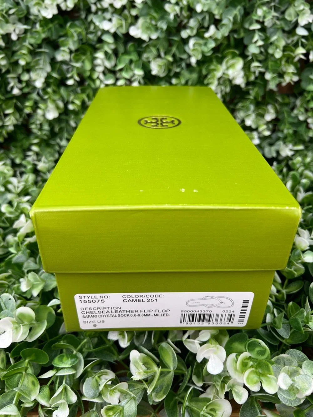 Tory Burch Green Shoe Box / Tissue Paper